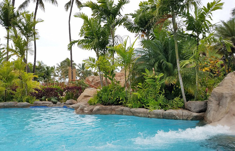 Wailea Canyon Activity Pool at Grand Wailea (Wailea, Hawaii)