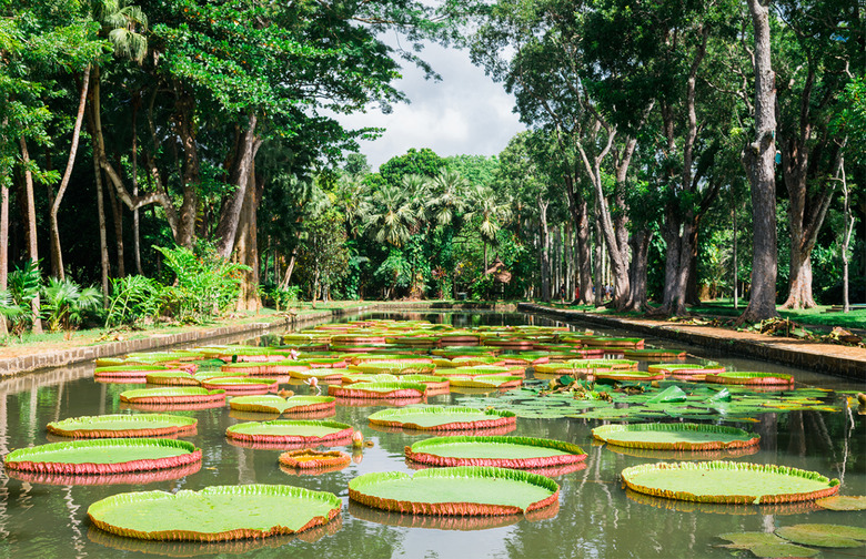 Mauritius