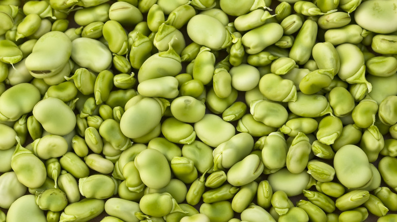 Green lima beans