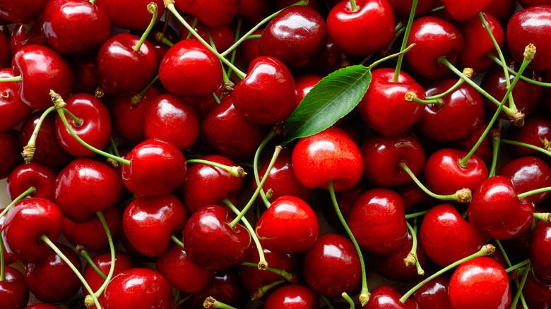 Pile of summer cherries