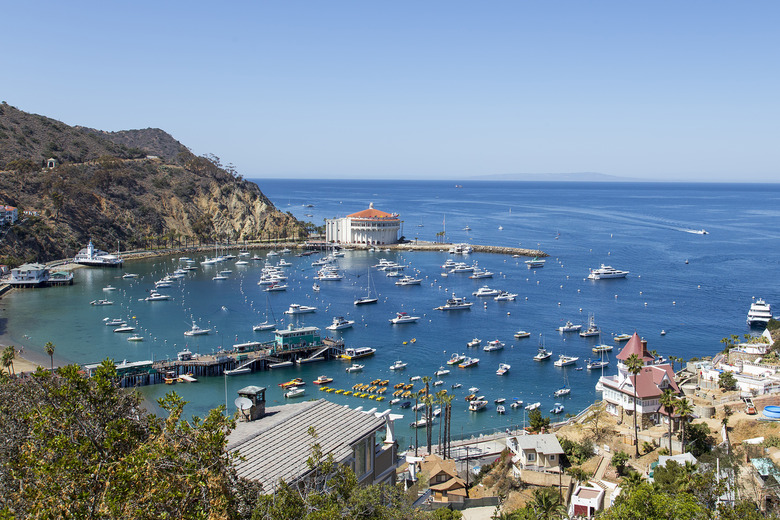 Santa Catalina Island, Calif.