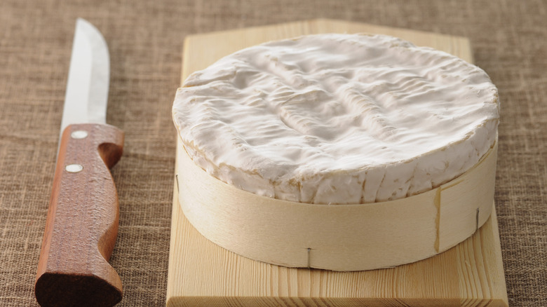 Block of Camembert cheese