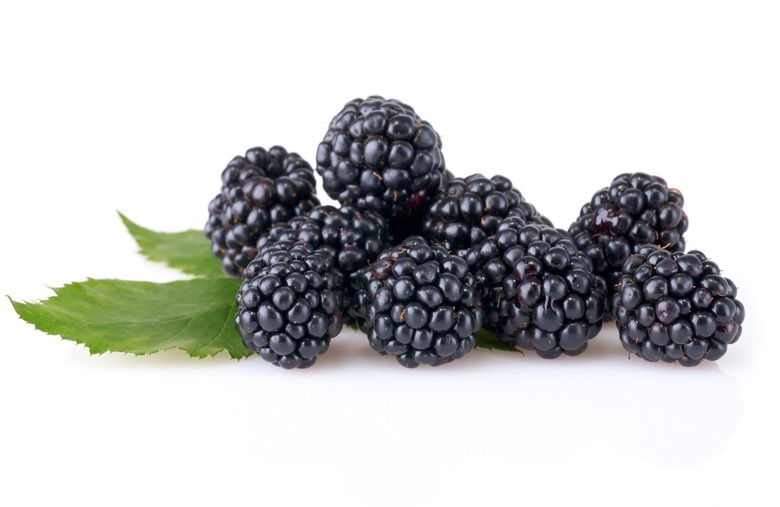 #6 Blackberries