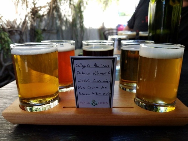 #13 Vines & Hops (Scottsdale, Arizona)