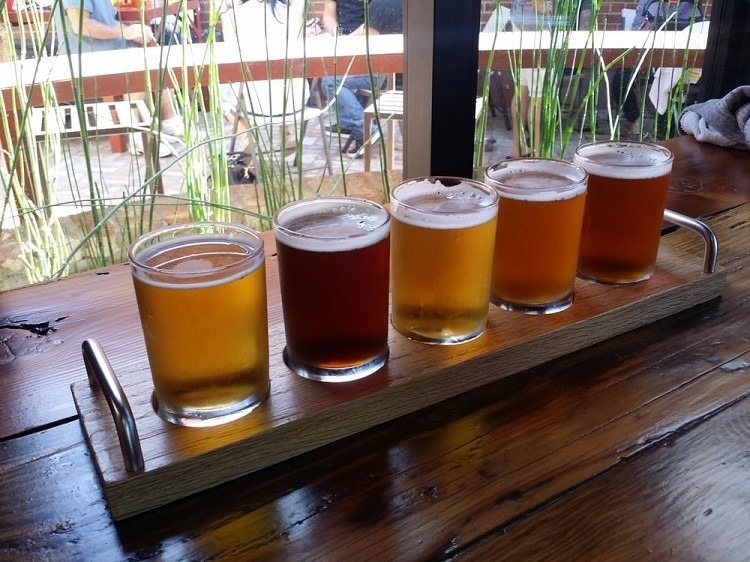 #49 Alameda Island Brewing Company (Alameda, California)