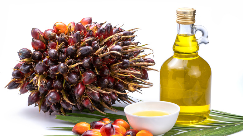 palm fruit next to palm oil