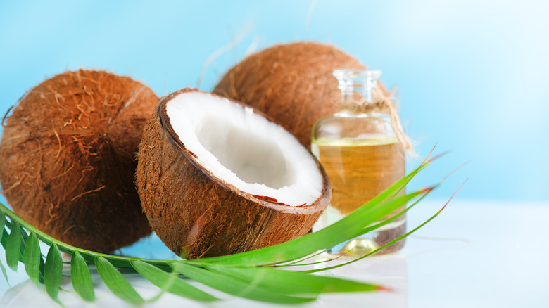 coconut oil and fresh coconut