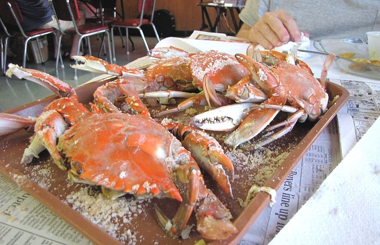 Delaware: Blue Crabs, Sambo's Tavern (Leipsic) 