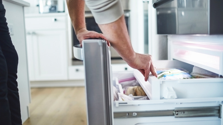 person looking into freezer