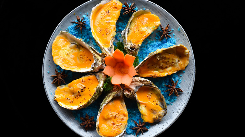 Cheesy baked oysters on blue salt