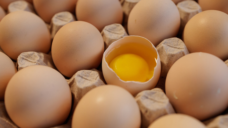 Carton of whole chicken eggs, with single open egg with exposed yolk in the middle