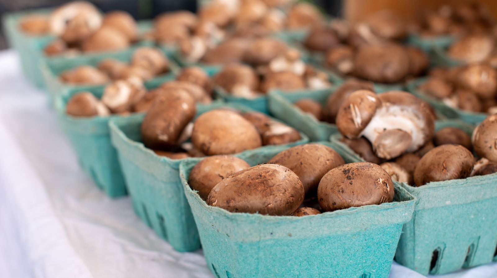 the-age-difference-between-baby-button-crimini-and-portobello-mushrooms