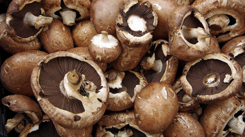 Pile of portobello mushrooms