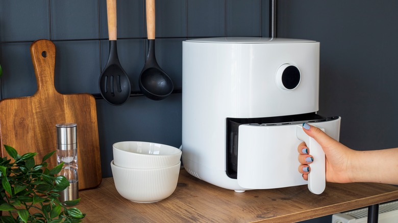 Person opening air fryer basket