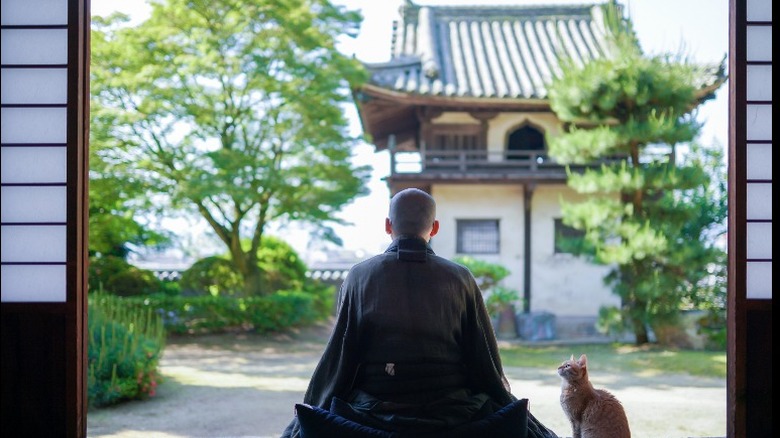 Zen Buddhist monk and cat