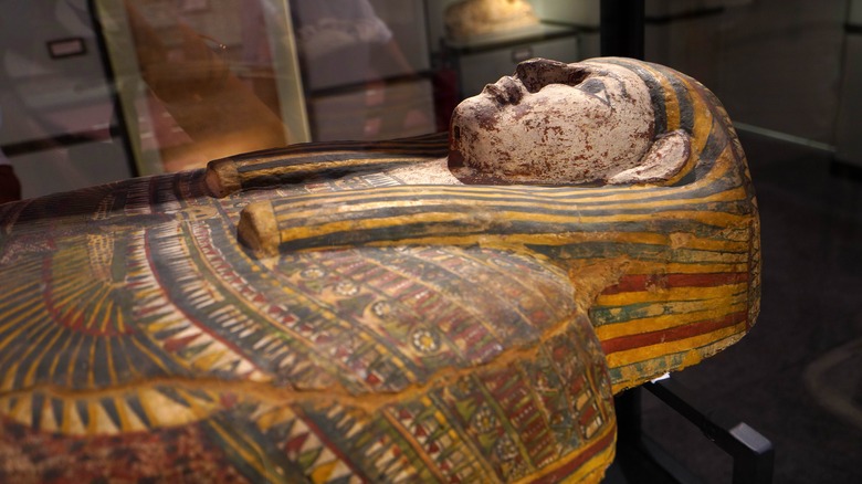 egyptian mummy