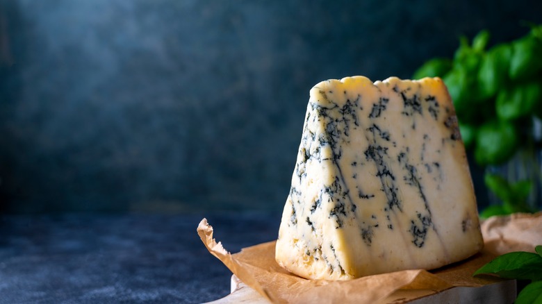 A wedge of Roquefort cheese sits on paper with a dark blue background