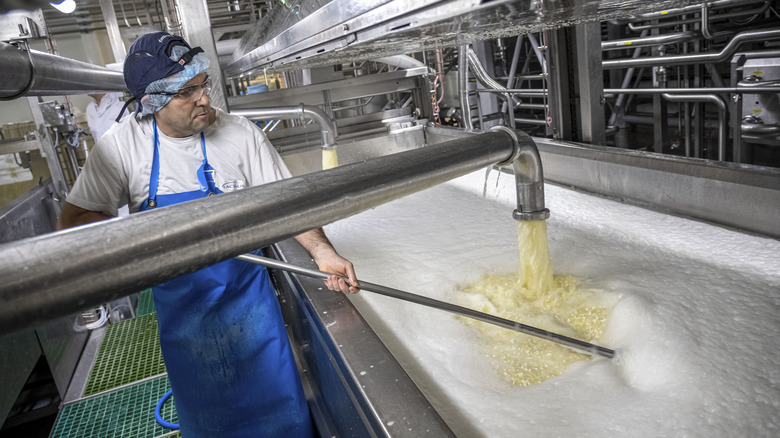 Man in blue aproan and hairnet washes cheese curds in large tank