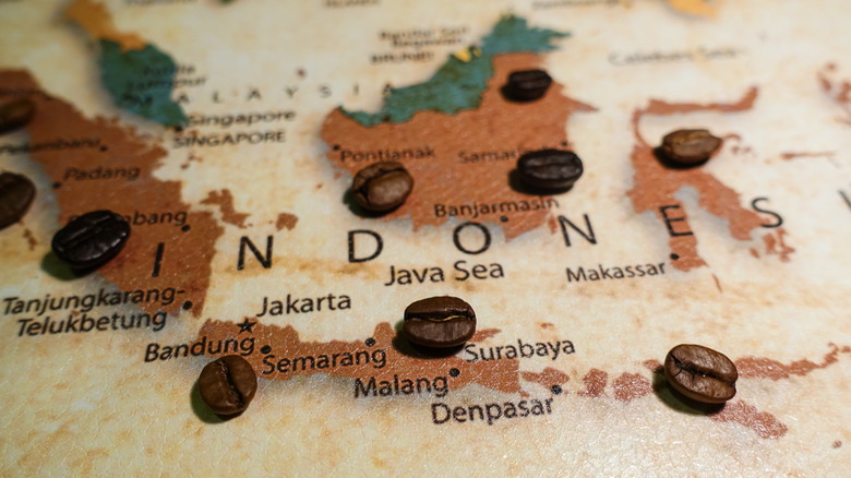 Map of Indonesia with coffee beans