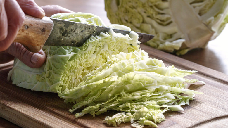 hands slicing cabbage