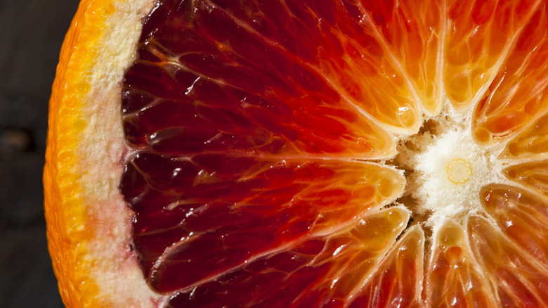 blood orange slice up close