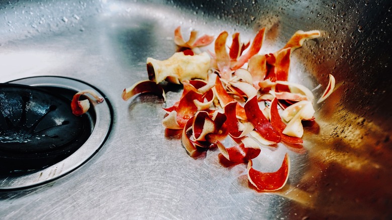 apple peels in sink