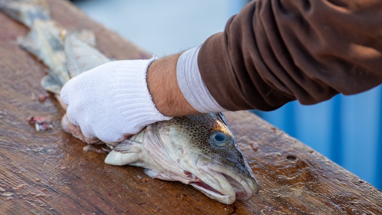 Cleaning a fish