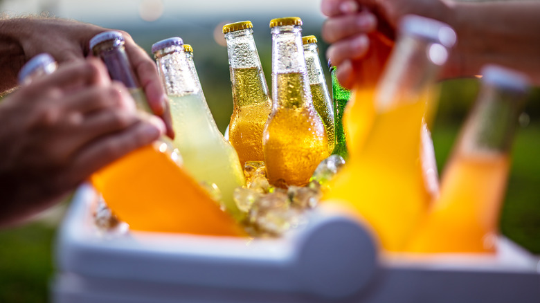 Bottles in a cooler