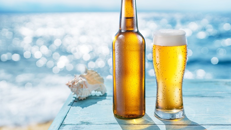 Beer in glass and bottle in sunlight