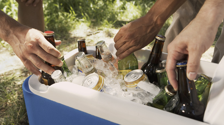 Cold beers in a cooler