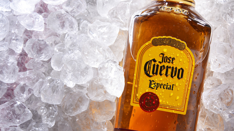 Jose Cuervo bottle on ice