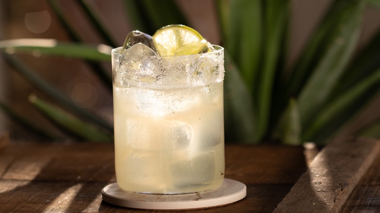 margarita with agave in background