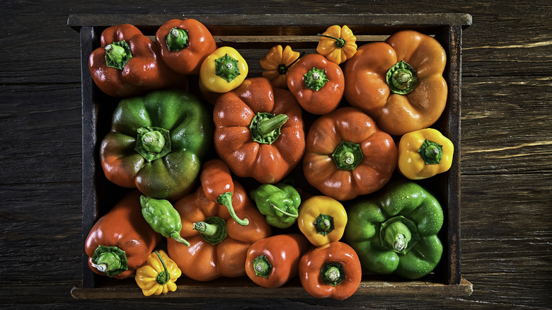 Bell peppers on wood background