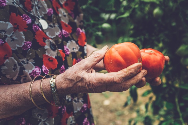 Best: Fruits and vegetables might slow down aging