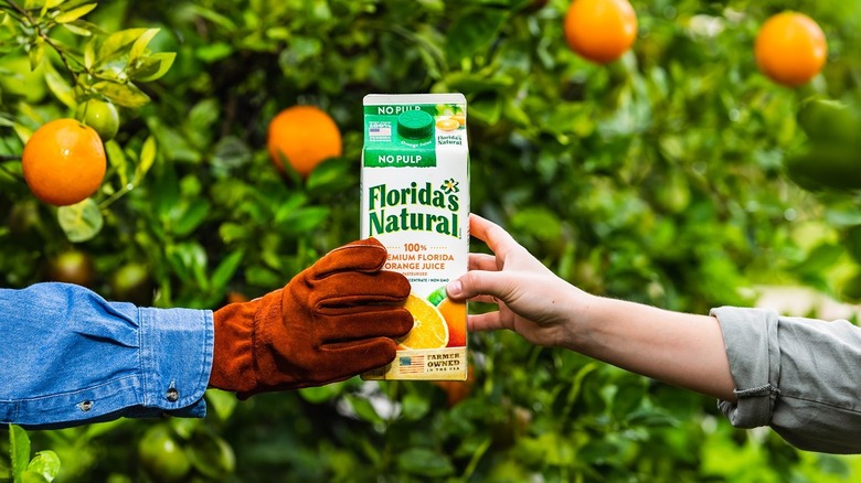 hands holding Florida's Natural carton