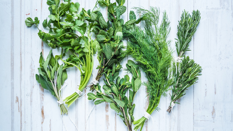 Aromatic herbs against a white background