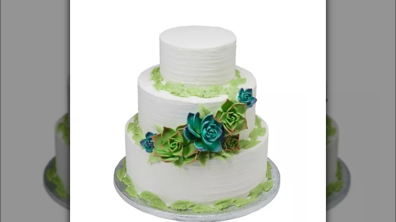 white tiered cake with succulents