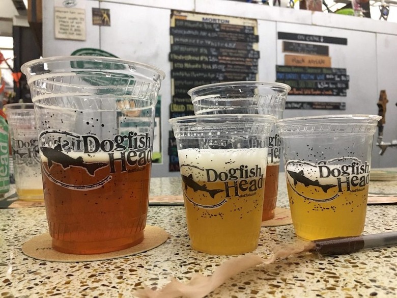 Delaware: 90 Minute IPA, Dogfish Head Brewery (Milton)