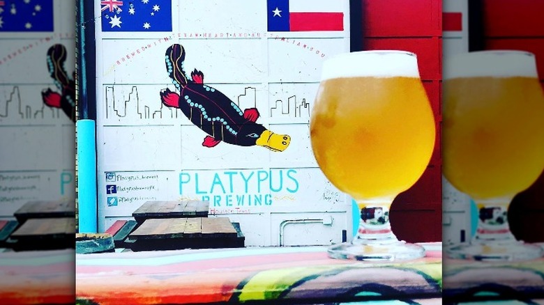 Platypus logo and beer glass
