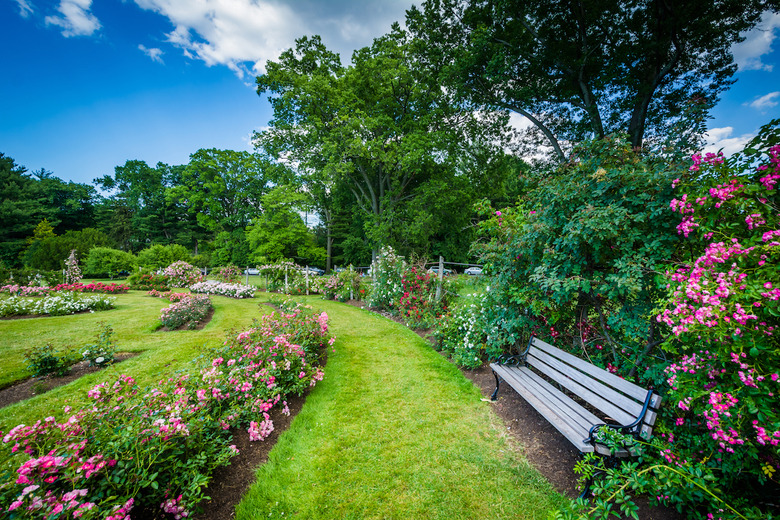 Connecticut: Elizabeth Park (West Hartford)