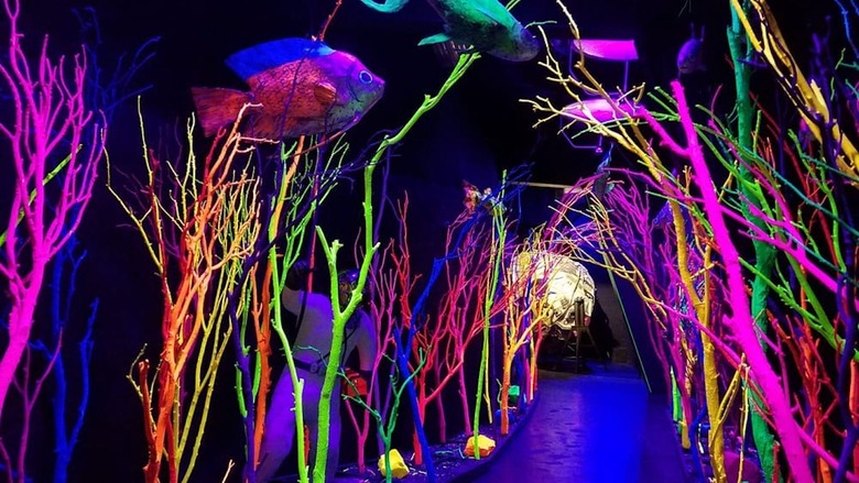 New Mexico: Meow Wolf (Santa Fe)