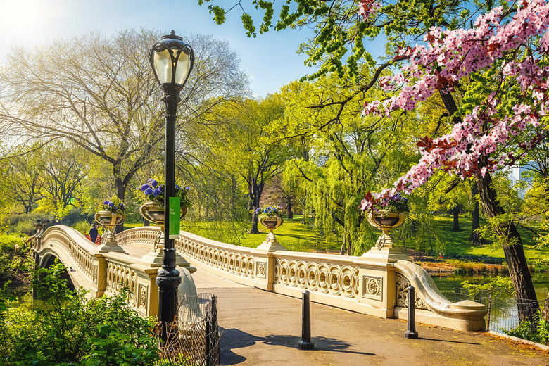 New York: Central Park (New York)