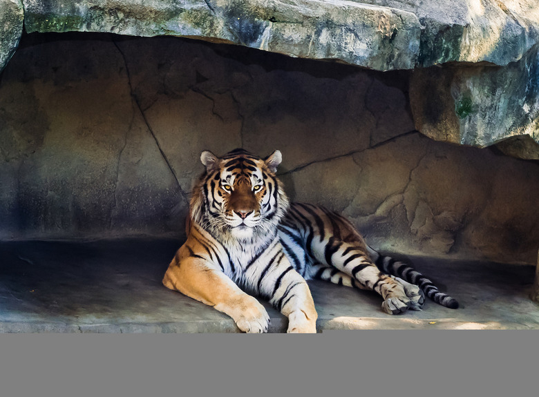 Ohio: Columbus Zoo and Aquarium (Powell)