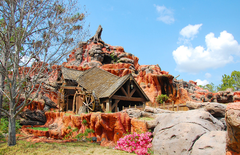 Splash Mountain: Magic Kingdom