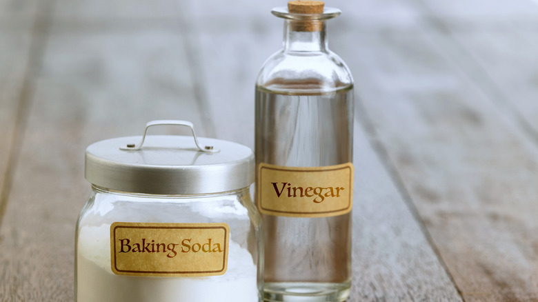 vinegar and baking soda in containers
