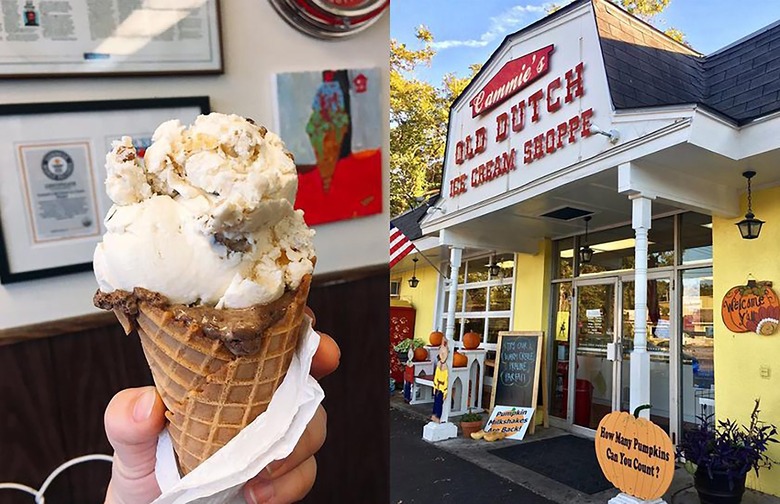 Best Ice Cream Stand: Cammie's Old Dutch Ice Cream (Mobile)