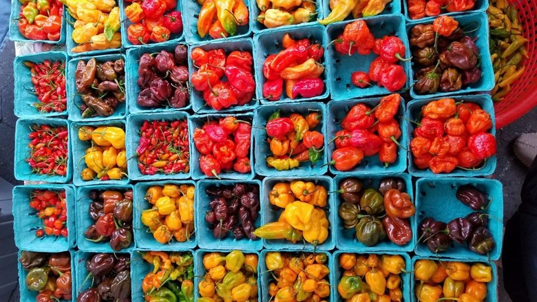 Best Farmers Market: Union Square Greenmarket (New York City)