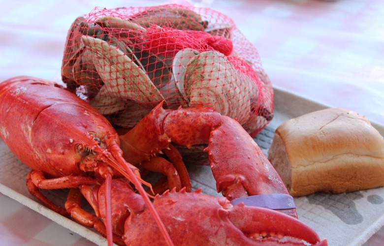 Maine: Maine Lobster Festival (Rockland)