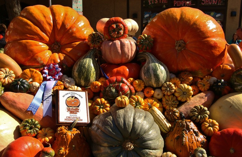 Ohio: Circleville Pumpkin Show (Circleville)