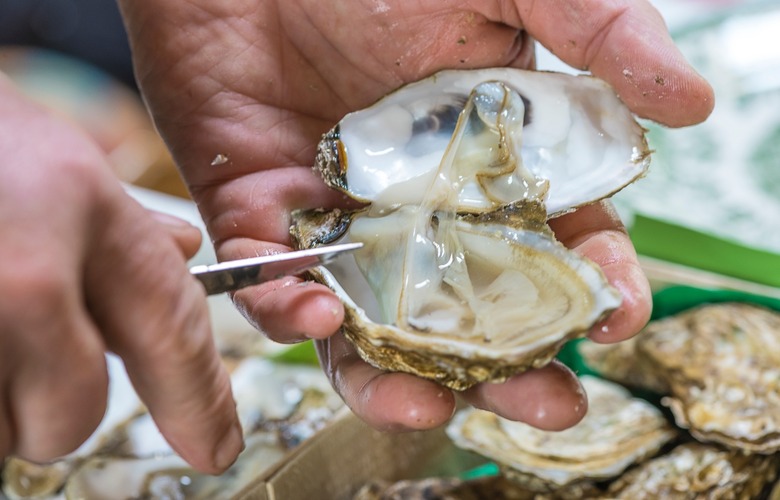 Connecticut: Milford Oyster Festival (Milford)